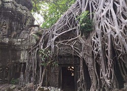 Ta Prohm temple